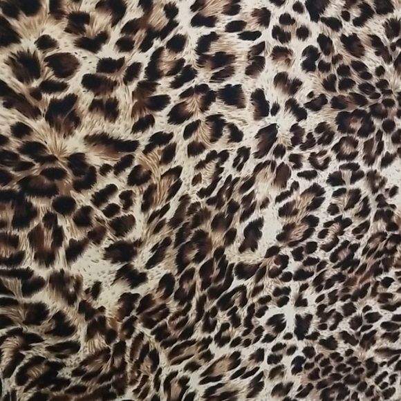 EUC Leopard Print Maxi Dress - Picture 3 of 4